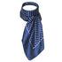 products/foulard-a-pois-bleu.jpg