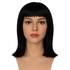 files/Perruque_femme_noire_65e07713-f560-4337-886f-4c60d2f6f391.png