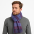 files/Portrait_d_homme_au_foulard_ecossais.png