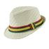 products/CP-01509-F16-chapeau-trilby-homme-paille.jpg