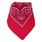 products/bandana-fushia_8dd9625f-af0f-4e60-9c83-662118fc0fd3.jpg